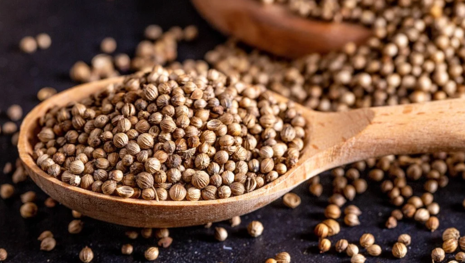 Coriander Seeds